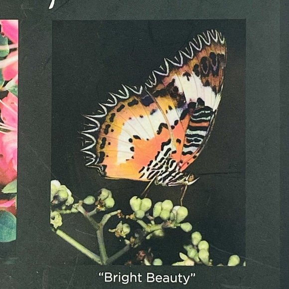 Double Sided Jigsaw Brainteaser Puzzle Butterflies Flutter Bright Beauty 4.25" - Picture 13 of 13